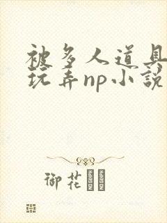 被多人道具调教玩弄np小说