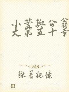 小莹与公翁熄粗大第五十章封面