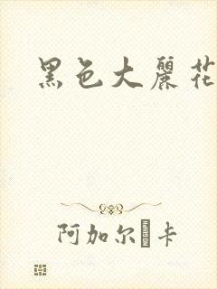 黑色大丽花图片