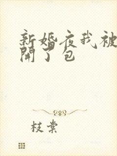 新婚夜我被伴郎开了包封面