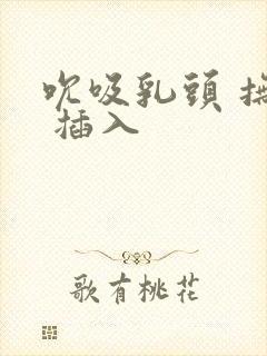 吮吸乳头 抚摸 插入