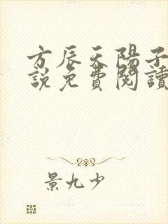 方辰天阳子的小说免费阅读