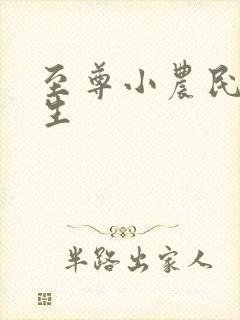 至尊小农民王木生封面