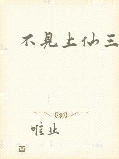 不见上仙三百年封面