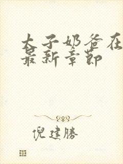 太子奶爸在花都最新章节封面