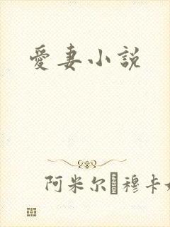 爱妻小说封面
