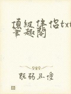 顶级伴侣txt笔趣阁