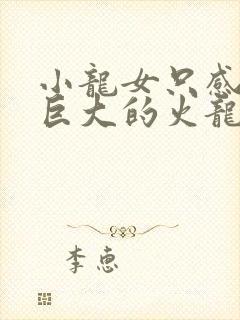 小龙女只感觉那巨大的火龙枪