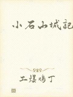 小石山城记封面