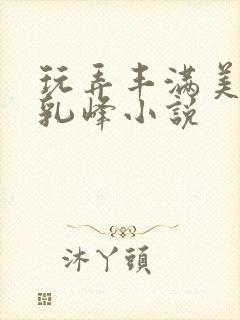 玩弄丰满美妇的乳峰小说