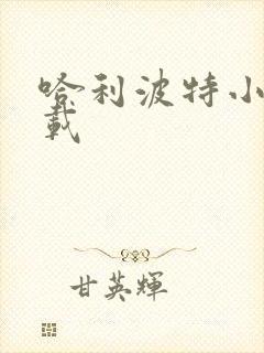 哈利波特小说下载封面