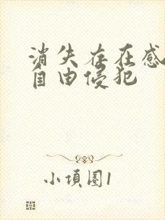 消失存在感消失自由侵犯