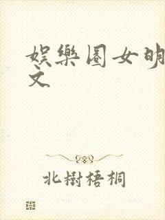 娱乐圈女明星h文