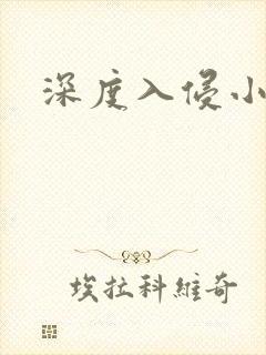 深度入侵小说封面