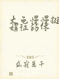 大龟慢慢挺进张娟征的休封面