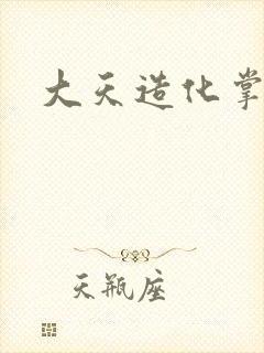 大天造化掌封面