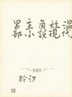 男主角姓温的全部小说现代封面