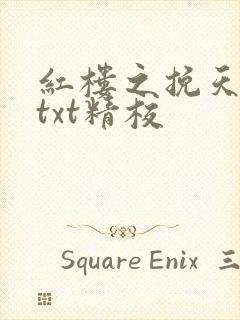 红楼之挽天倾无txt精校