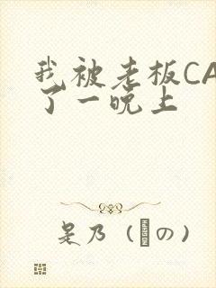 我被老板CAO了一晚上