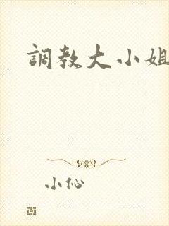 调教大小姐封面