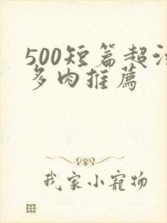 500短篇超污多肉推荐