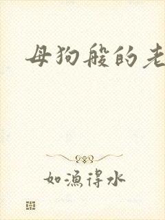 母狗般的老师封面