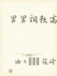 男男调教高h文