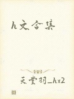 h文合集