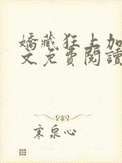 娇藏狂上加狂全文免费阅读笔趣阁