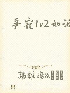 争宠1v2如酒封面