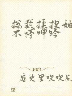 总裁揉捏她两乳不停呻吟