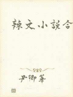 辣文小说合集封面