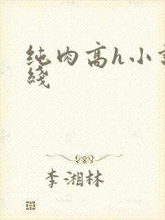 纯肉高h小说在线