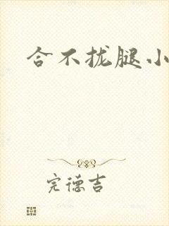 合不拢腿小说