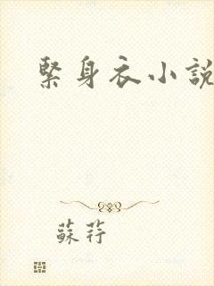 紧身衣小说封面