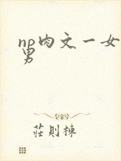 np肉文一女多男