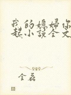 我的媳妇你惹不起小说全文阅读