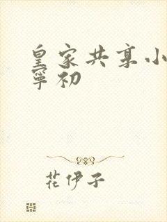 皇家共享小公主宁初