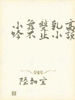 小舞双乳高耸呻吟不止小说封面