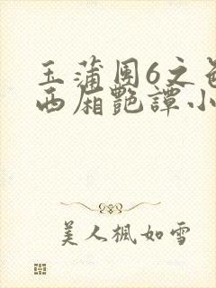 玉蒲团6之色情西厢艳谭小说