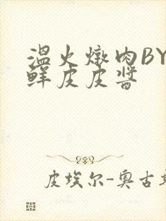 温火炖肉BY海鲜皮皮酱