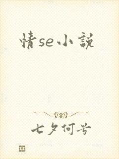 情se小说