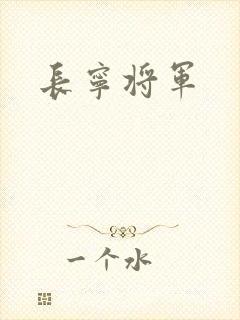 长宁将军