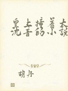 皇上撞着太子妃沈音的小说叫什么