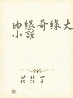 内缘奇缘大团圆小说封面