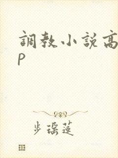 调教小说高hnp封面