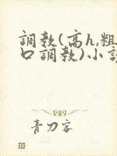 调教(高h,粗口调教)小说封面