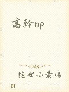 高干np
