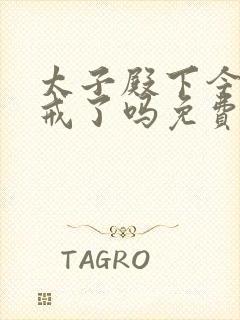 太子殿下今天破戒了吗免费阅读