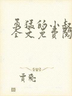 勇猛的小叔小说全文免费阅读封面